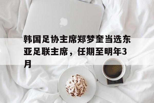 韩国足协主席郑梦奎当选东亚足联主席，任期至明年3月的简单介绍