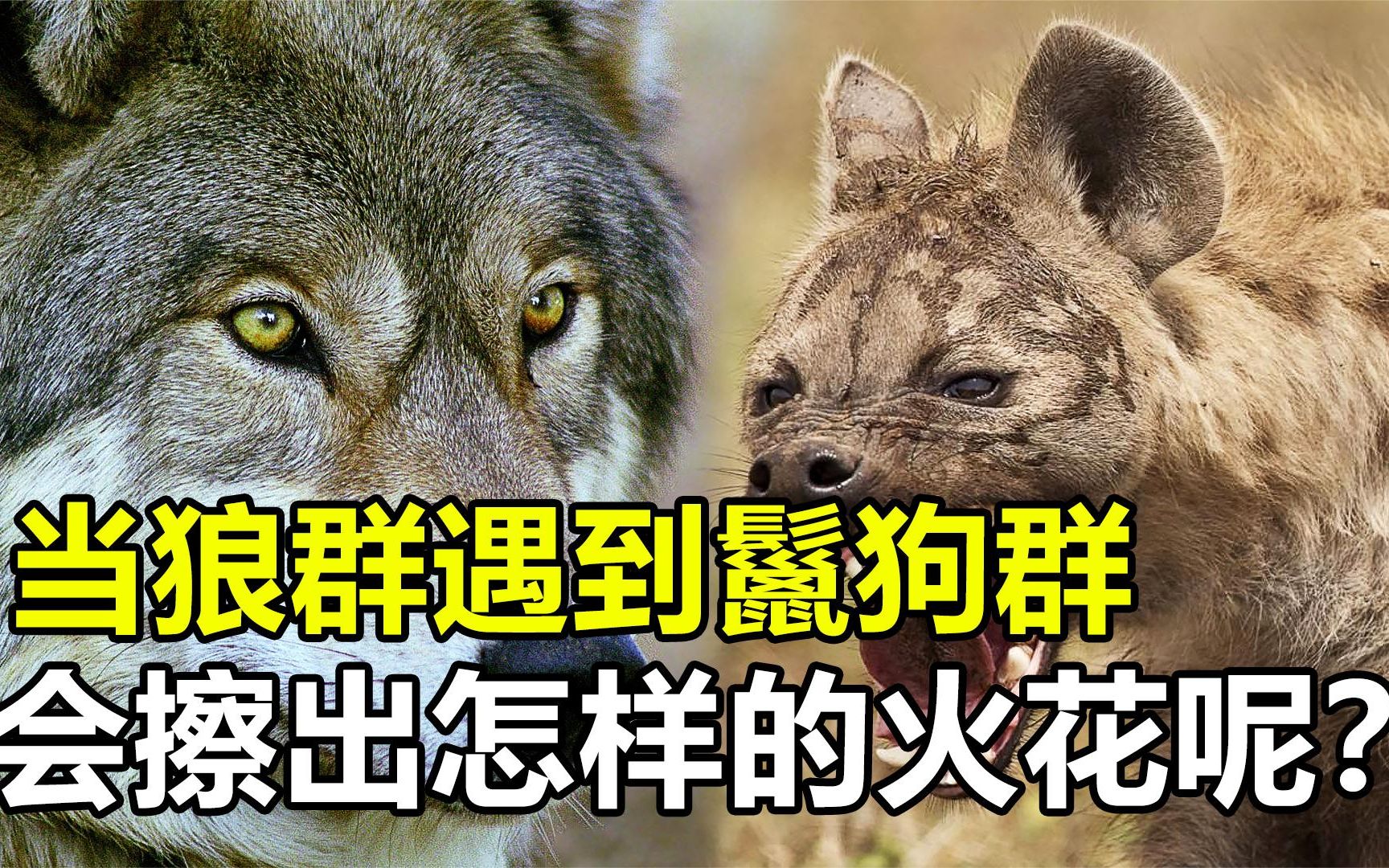 亚非洲球队实力擦出火花，谁能胜出